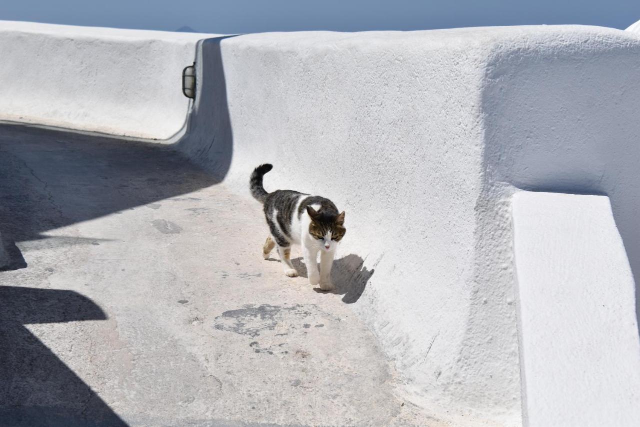 Mantilaria Fira (Santorini) Exterior foto
